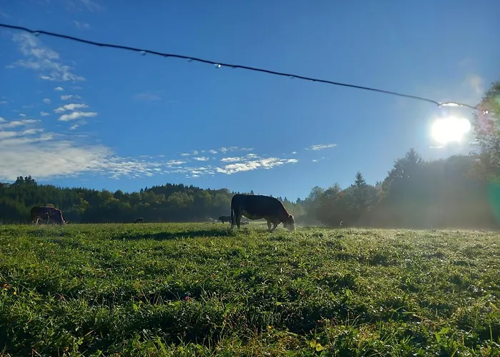 Andre Séjour à la ferme *