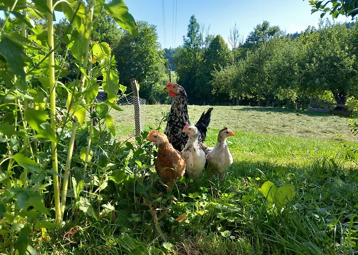 Séjour à la ferme Andre *