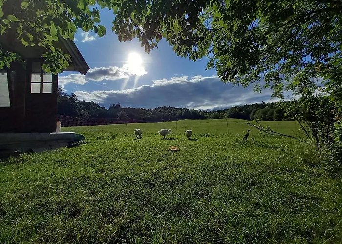 Andre Séjour à la ferme