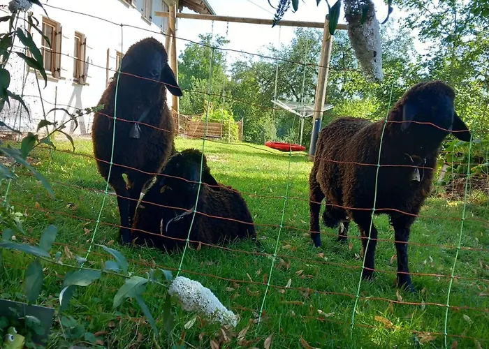 Andre Séjour à la ferme *