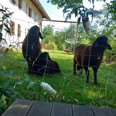 Agroturismo Andre